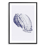 Blue Sea Shell IIIII | Hamptons-The Paper Tree-Art_Prints,Artwork,BEACH,blue,blue coral,coastal,COASTAL ART,coral,Designer,hamptons,portrait,premium art print,sea shell,shell,wall art,Wall_Art,Wall_Art_Prints