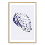 Blue Sea Shell IIIII | Hamptons-The Paper Tree-Art_Prints,Artwork,BEACH,blue,blue coral,coastal,COASTAL ART,coral,Designer,hamptons,portrait,premium art print,sea shell,shell,wall art,Wall_Art,Wall_Art_Prints