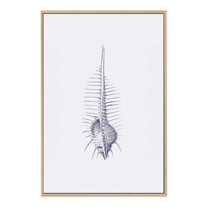 Blue Sea Shell IIIIII | Hamptons-The Paper Tree-Art_Prints,Artwork,BEACH,blue,blue coral,coastal,COASTAL ART,coral,Designer,hamptons,portrait,premium art print,sea shell,shell,wall art,Wall_Art,Wall_Art_Prints