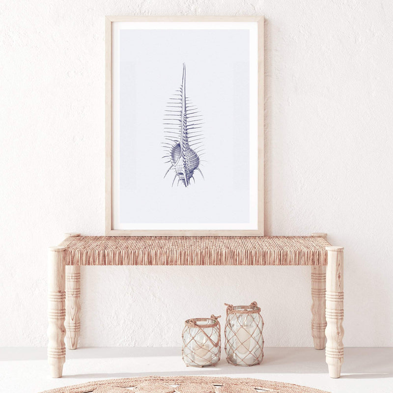 Blue Sea Shell IIIIII | Hamptons-The Paper Tree-Art_Prints,Artwork,BEACH,blue,blue coral,coastal,COASTAL ART,coral,Designer,hamptons,portrait,premium art print,sea shell,shell,wall art,Wall_Art,Wall_Art_Prints