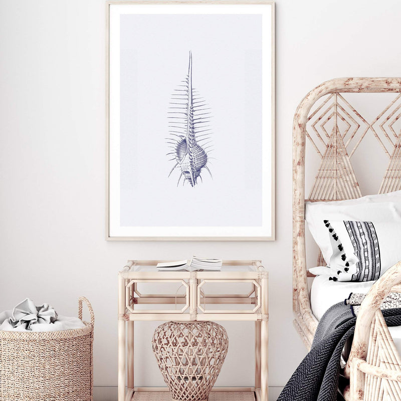 Blue Sea Shell IIIIII | Hamptons-The Paper Tree-Art_Prints,Artwork,BEACH,blue,blue coral,coastal,COASTAL ART,coral,Designer,hamptons,portrait,premium art print,sea shell,shell,wall art,Wall_Art,Wall_Art_Prints