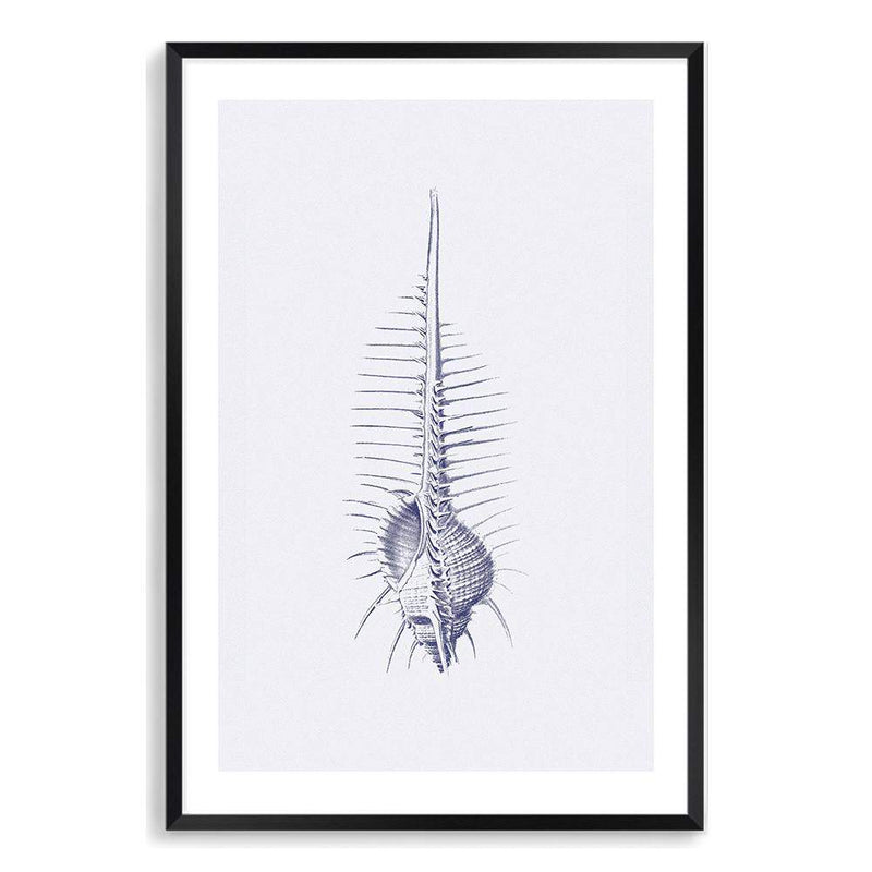 Blue Sea Shell IIIIII | Hamptons-The Paper Tree-Art_Prints,Artwork,BEACH,blue,blue coral,coastal,COASTAL ART,coral,Designer,hamptons,portrait,premium art print,sea shell,shell,wall art,Wall_Art,Wall_Art_Prints