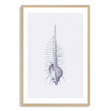 Blue Sea Shell IIIIII | Hamptons-The Paper Tree-Art_Prints,Artwork,BEACH,blue,blue coral,coastal,COASTAL ART,coral,Designer,hamptons,portrait,premium art print,sea shell,shell,wall art,Wall_Art,Wall_Art_Prints