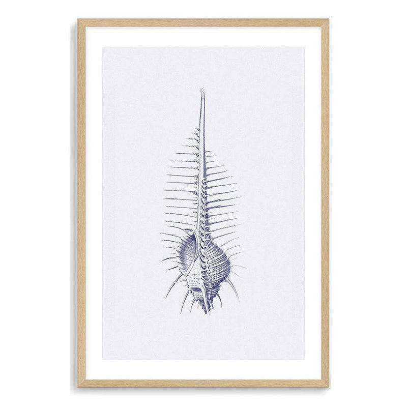 Blue Sea Shell IIIIII | Hamptons-The Paper Tree-Art_Prints,Artwork,BEACH,blue,blue coral,coastal,COASTAL ART,coral,Designer,hamptons,portrait,premium art print,sea shell,shell,wall art,Wall_Art,Wall_Art_Prints