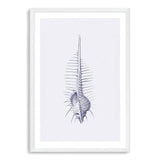 Blue Sea Shell IIIIII | Hamptons-The Paper Tree-Art_Prints,Artwork,BEACH,blue,blue coral,coastal,COASTAL ART,coral,Designer,hamptons,portrait,premium art print,sea shell,shell,wall art,Wall_Art,Wall_Art_Prints