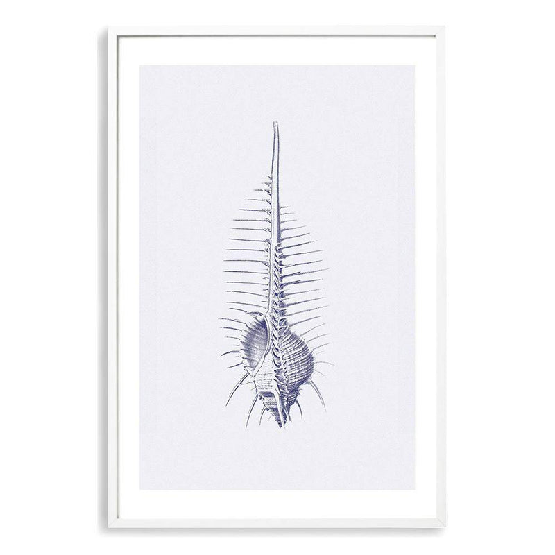 Blue Sea Shell IIIIII | Hamptons-The Paper Tree-Art_Prints,Artwork,BEACH,blue,blue coral,coastal,COASTAL ART,coral,Designer,hamptons,portrait,premium art print,sea shell,shell,wall art,Wall_Art,Wall_Art_Prints