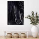 Black Stallion-The Paper Tree-animal,Artwork,black,black & white,black beauty,black horse,black stallion,framed print,horse,horses,monochrome,moroccan,morocco,portrait,premium art print,stallion,wall art,Wall_Art,Wall_Art_Prints