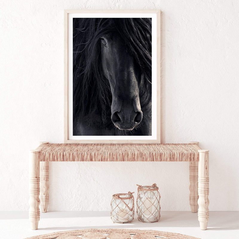 Black Stallion-The Paper Tree-animal,Artwork,black,black & white,black beauty,black horse,black stallion,framed print,horse,horses,monochrome,moroccan,morocco,portrait,premium art print,stallion,wall art,Wall_Art,Wall_Art_Prints