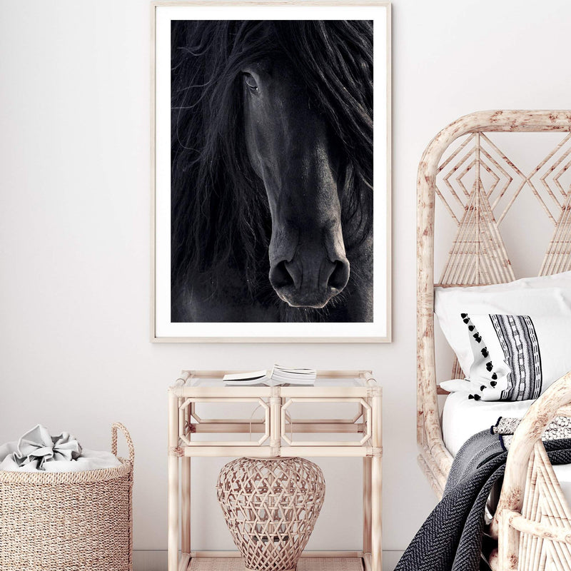 Black Stallion-The Paper Tree-animal,Artwork,black,black & white,black beauty,black horse,black stallion,framed print,horse,horses,monochrome,moroccan,morocco,portrait,premium art print,stallion,wall art,Wall_Art,Wall_Art_Prints