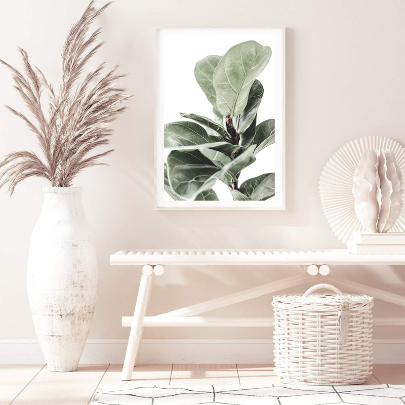 Fig Leaf-The Paper Tree-africa,african,botanical,fiddle fig,fiddle leaf fig,fig,fig leaf,fig leaves,green,leaf,leaves,portrait,premium art print,wall art,Wall_Art,Wall_Art_Prints