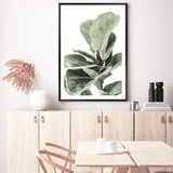 Fig Leaf-The Paper Tree-africa,african,botanical,fiddle fig,fiddle leaf fig,fig,fig leaf,fig leaves,green,leaf,leaves,portrait,premium art print,wall art,Wall_Art,Wall_Art_Prints