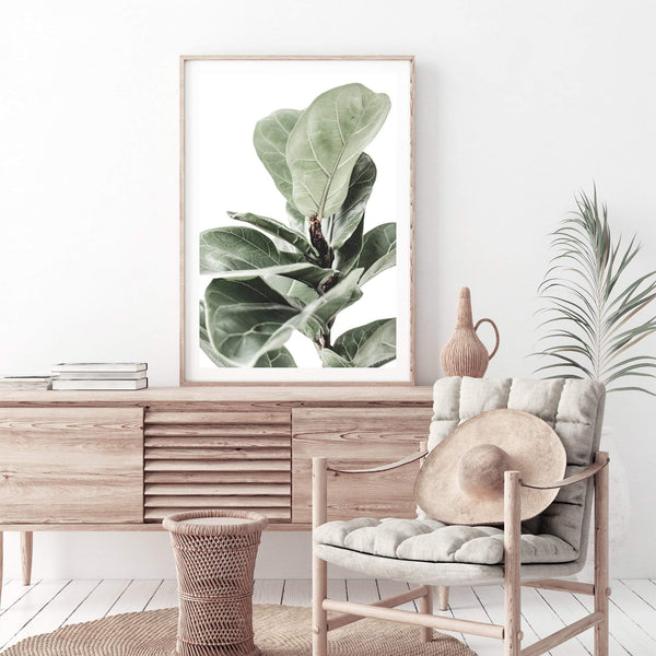 Fig Leaf-The Paper Tree-africa,african,botanical,fiddle fig,fiddle leaf fig,fig,fig leaf,fig leaves,green,leaf,leaves,portrait,premium art print,wall art,Wall_Art,Wall_Art_Prints