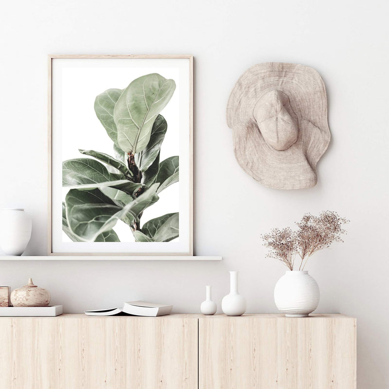 Fig Leaf-The Paper Tree-africa,african,botanical,fiddle fig,fiddle leaf fig,fig,fig leaf,fig leaves,green,leaf,leaves,portrait,premium art print,wall art,Wall_Art,Wall_Art_Prints