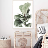 Fig Leaf-The Paper Tree-africa,african,botanical,fiddle fig,fiddle leaf fig,fig,fig leaf,fig leaves,green,leaf,leaves,portrait,premium art print,wall art,Wall_Art,Wall_Art_Prints