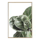 Fiddle Leaf Fig-The Paper Tree-africa,african,botanical,fiddle fig,fiddle leaf fig,fig,fig leaf,fig leaves,green,leaf,leaves,portrait,premium art print,wall art,Wall_Art,Wall_Art_Prints