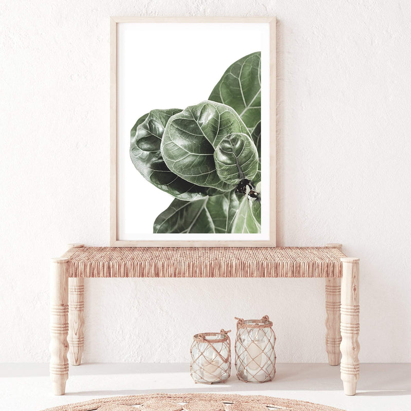 Fiddle Leaf Fig-The Paper Tree-africa,african,botanical,fiddle fig,fiddle leaf fig,fig,fig leaf,fig leaves,green,leaf,leaves,portrait,premium art print,wall art,Wall_Art,Wall_Art_Prints