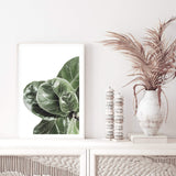 Fiddle Leaf Fig-The Paper Tree-africa,african,botanical,fiddle fig,fiddle leaf fig,fig,fig leaf,fig leaves,green,leaf,leaves,portrait,premium art print,wall art,Wall_Art,Wall_Art_Prints