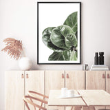 Fiddle Leaf Fig-The Paper Tree-africa,african,botanical,fiddle fig,fiddle leaf fig,fig,fig leaf,fig leaves,green,leaf,leaves,portrait,premium art print,wall art,Wall_Art,Wall_Art_Prints