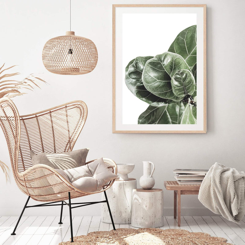 Fiddle Leaf Fig-The Paper Tree-africa,african,botanical,fiddle fig,fiddle leaf fig,fig,fig leaf,fig leaves,green,leaf,leaves,portrait,premium art print,wall art,Wall_Art,Wall_Art_Prints