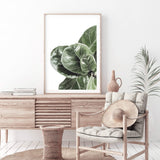 Fiddle Leaf Fig-The Paper Tree-africa,african,botanical,fiddle fig,fiddle leaf fig,fig,fig leaf,fig leaves,green,leaf,leaves,portrait,premium art print,wall art,Wall_Art,Wall_Art_Prints