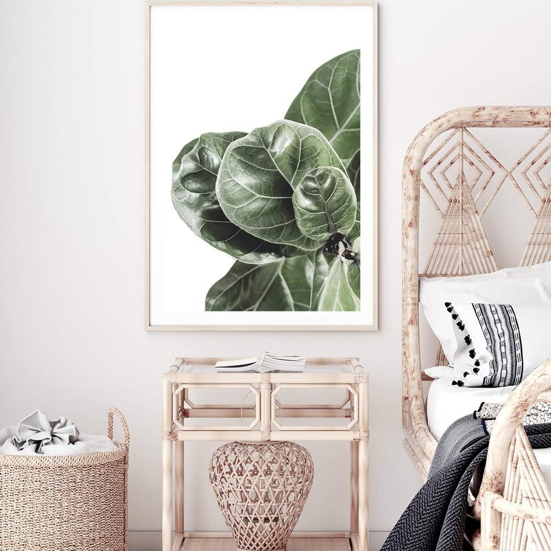 Fiddle Leaf Fig-The Paper Tree-africa,african,botanical,fiddle fig,fiddle leaf fig,fig,fig leaf,fig leaves,green,leaf,leaves,portrait,premium art print,wall art,Wall_Art,Wall_Art_Prints