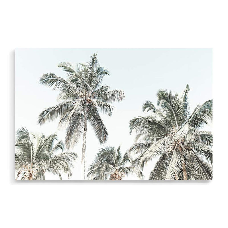 Coastal Palm Trees-The Paper Tree-america,Art_Prints,Artwork,BEACH,beach entrance,beach path,beach scene,boho,coastal,COASTAL ART,Designer,hamptons,landscape,neutral,PALM TREE,palm trees,path to beach,premium art print,surfers,travel,wall art,Wall_Art,Wall_Art_Prints