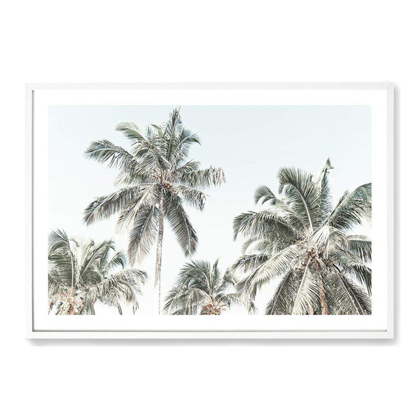 Coastal Palm Trees-The Paper Tree-america,Art_Prints,Artwork,BEACH,beach entrance,beach path,beach scene,boho,coastal,COASTAL ART,Designer,hamptons,landscape,neutral,PALM TREE,palm trees,path to beach,premium art print,surfers,travel,wall art,Wall_Art,Wall_Art_Prints