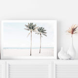 Palm Tree Beach-The Paper Tree-america,Art_Prints,Artwork,BEACH,beach entrance,beach path,beach scene,blue,boho,coastal,COASTAL ART,Designer,hamptons,landscape,neutral,PALM TREE,palm trees,path to beach,premium art print,surfers,travel,wall art,Wall_Art,Wall_Art_Prints