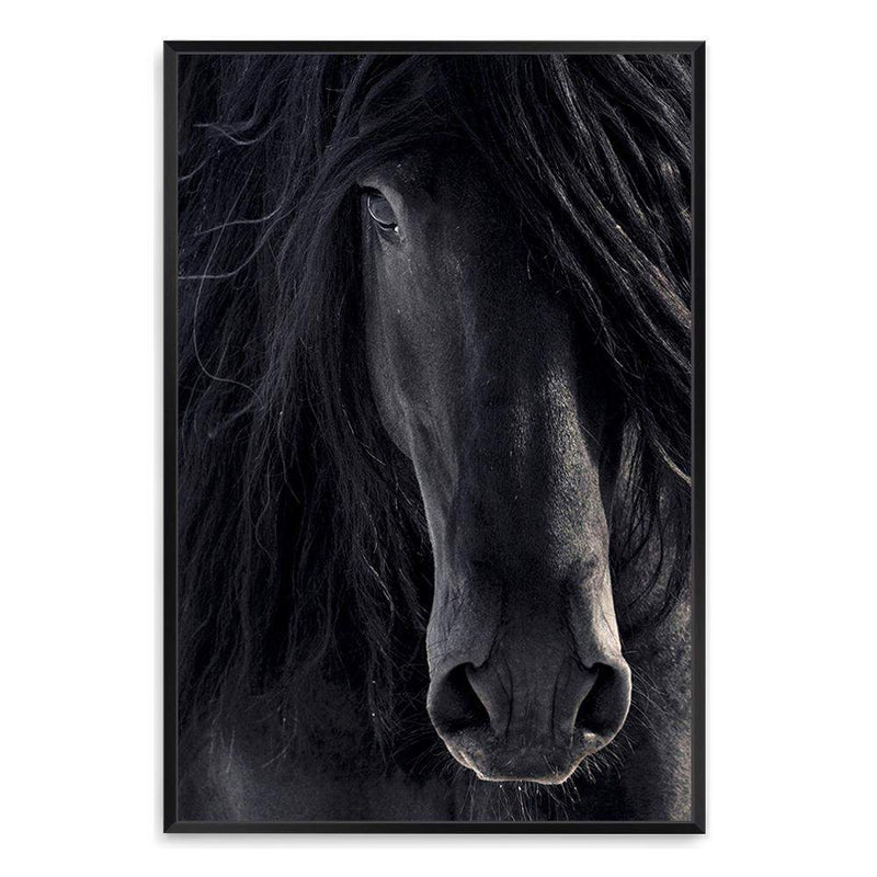 Black Stallion-The Paper Tree-animal,Artwork,black,black & white,black beauty,black horse,black stallion,framed print,horse,horses,monochrome,moroccan,morocco,portrait,premium art print,stallion,wall art,Wall_Art,Wall_Art_Prints