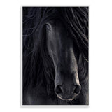 Black Stallion-The Paper Tree-animal,Artwork,black,black & white,black beauty,black horse,black stallion,framed print,horse,horses,monochrome,moroccan,morocco,portrait,premium art print,stallion,wall art,Wall_Art,Wall_Art_Prints