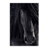 Black Stallion-The Paper Tree-animal,Artwork,black,black & white,black beauty,black horse,black stallion,framed print,horse,horses,monochrome,moroccan,morocco,portrait,premium art print,stallion,wall art,Wall_Art,Wall_Art_Prints