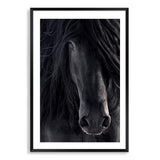 Black Stallion-The Paper Tree-animal,Artwork,black,black & white,black beauty,black horse,black stallion,framed print,horse,horses,monochrome,moroccan,morocco,portrait,premium art print,stallion,wall art,Wall_Art,Wall_Art_Prints