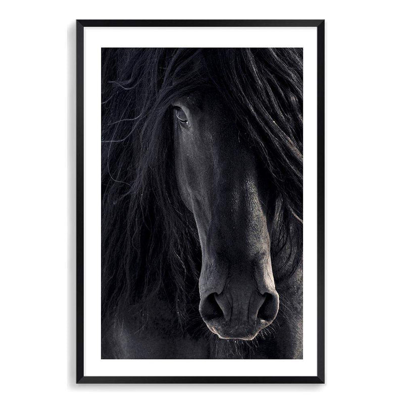 Black Stallion-The Paper Tree-animal,Artwork,black,black & white,black beauty,black horse,black stallion,framed print,horse,horses,monochrome,moroccan,morocco,portrait,premium art print,stallion,wall art,Wall_Art,Wall_Art_Prints