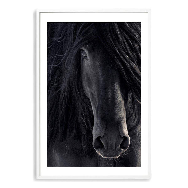 Black Stallion-The Paper Tree-animal,Artwork,black,black & white,black beauty,black horse,black stallion,framed print,horse,horses,monochrome,moroccan,morocco,portrait,premium art print,stallion,wall art,Wall_Art,Wall_Art_Prints