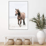 Horse on The Beach-The Paper Tree-animal,beach,boho,brown,brown horse,coastal,framed print,hamptons,horse,horse on the beach,horses,portrait,premium art print,stallion,TAN,wall art,Wall_Art,Wall_Art_Prints