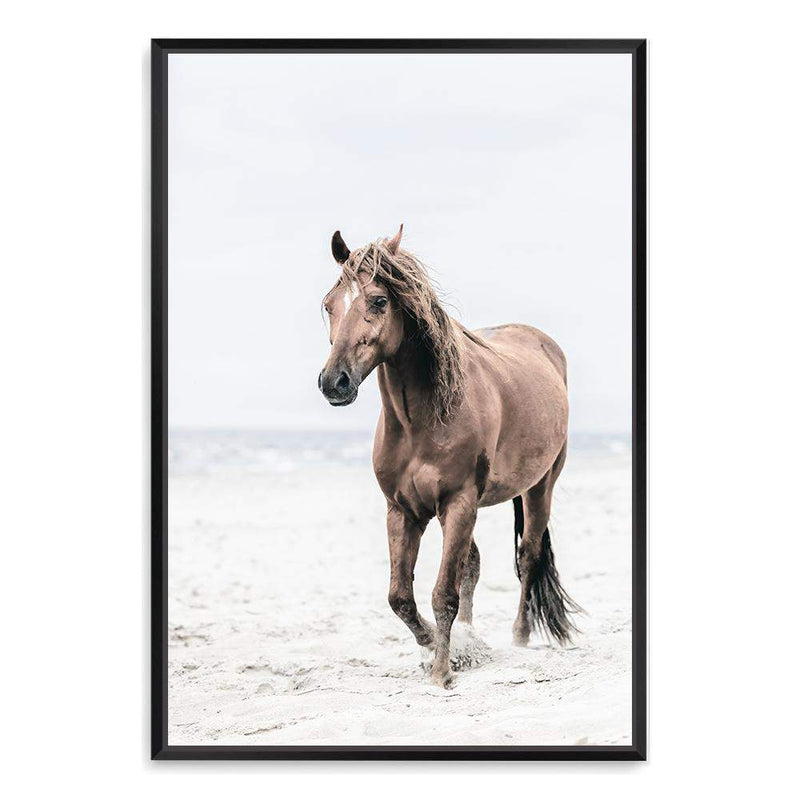 Horse on The Beach-The Paper Tree-animal,beach,boho,brown,brown horse,coastal,framed print,hamptons,horse,horse on the beach,horses,portrait,premium art print,stallion,TAN,wall art,Wall_Art,Wall_Art_Prints