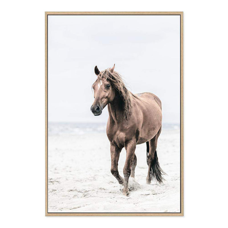 Horse on The Beach-The Paper Tree-animal,beach,boho,brown,brown horse,coastal,framed print,hamptons,horse,horse on the beach,horses,portrait,premium art print,stallion,TAN,wall art,Wall_Art,Wall_Art_Prints