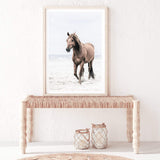 Horse on The Beach-The Paper Tree-animal,beach,boho,brown,brown horse,coastal,framed print,hamptons,horse,horse on the beach,horses,portrait,premium art print,stallion,TAN,wall art,Wall_Art,Wall_Art_Prints