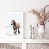 Horse on The Beach-The Paper Tree-animal,beach,boho,brown,brown horse,coastal,framed print,hamptons,horse,horse on the beach,horses,portrait,premium art print,stallion,TAN,wall art,Wall_Art,Wall_Art_Prints