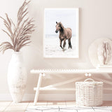 Horse on The Beach-The Paper Tree-animal,beach,boho,brown,brown horse,coastal,framed print,hamptons,horse,horse on the beach,horses,portrait,premium art print,stallion,TAN,wall art,Wall_Art,Wall_Art_Prints