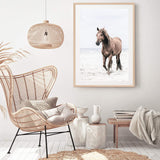 Horse on The Beach-The Paper Tree-animal,beach,boho,brown,brown horse,coastal,framed print,hamptons,horse,horse on the beach,horses,portrait,premium art print,stallion,TAN,wall art,Wall_Art,Wall_Art_Prints