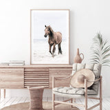 Horse on The Beach-The Paper Tree-animal,beach,boho,brown,brown horse,coastal,framed print,hamptons,horse,horse on the beach,horses,portrait,premium art print,stallion,TAN,wall art,Wall_Art,Wall_Art_Prints