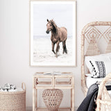 Horse on The Beach-The Paper Tree-animal,beach,boho,brown,brown horse,coastal,framed print,hamptons,horse,horse on the beach,horses,portrait,premium art print,stallion,TAN,wall art,Wall_Art,Wall_Art_Prints