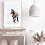 Horse on The Beach-The Paper Tree-animal,beach,boho,brown,brown horse,coastal,framed print,hamptons,horse,horse on the beach,horses,portrait,premium art print,stallion,TAN,wall art,Wall_Art,Wall_Art_Prints