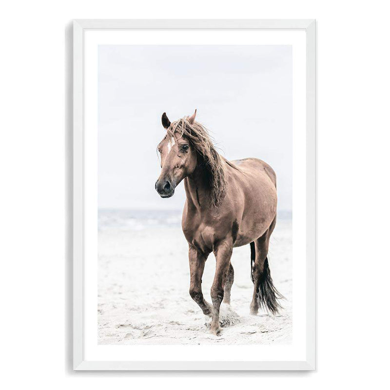 Horse on The Beach-The Paper Tree-animal,beach,boho,brown,brown horse,coastal,framed print,hamptons,horse,horse on the beach,horses,portrait,premium art print,stallion,TAN,wall art,Wall_Art,Wall_Art_Prints