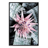 Pink Bromeliad Flower II-The Paper Tree-floral,flower,flowers,peach,portrait,premium art print,wall art,Wall_Art,Wall_Art_Prints,waratah,waratah flower