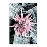 Pink Bromeliad Flower II-The Paper Tree-floral,flower,flowers,peach,portrait,premium art print,wall art,Wall_Art,Wall_Art_Prints,waratah,waratah flower