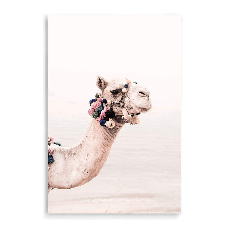 Camel In The Desert-The Paper Tree-Art_Prints,Artwork,boho,camel,desert,Designer,horizon,moroccan,morocco,neutral,pink,portrait,premium art print,wall art,Wall_Art,Wall_Art_Prints