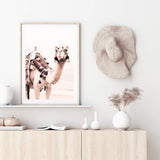 Desert Camel-The Paper Tree-Art_Prints,Artwork,boho,burnt orange,camel,desert,Designer,horizon,moroccan,morocco,neutral,pink,portrait,premium art print,wall art,Wall_Art,Wall_Art_Prints