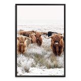 Highland Cattle Herd-The Paper Tree-Artwork,bohemian,boho,CATTLE,framed,framed print,herd,highland bull,highland cattle,highland cow,landscape,nature,premium art print,TAN,wall art,Wall_Art,Wall_Art_Prints